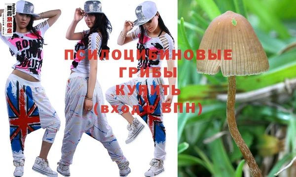 прущий лед Коряжма