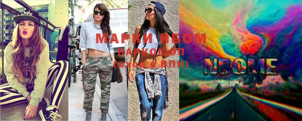 ГАЛЛЮЦИНОГЕННЫЕ ГРИБЫ Козловка