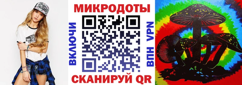 Купить где  Воронеж  Галлюциногенные грибы Psilocybe 
